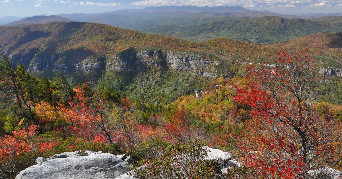 Burke County Area Breeden Real Estate