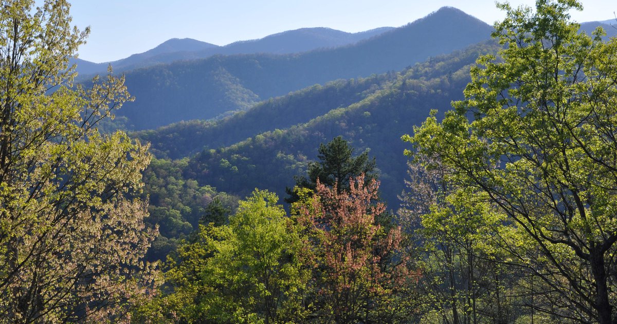 About Breeden Real Estate